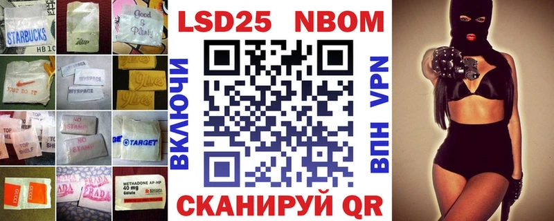 shop состав OMG ссылки Лсд 25 экстази кислота Печоры где найти