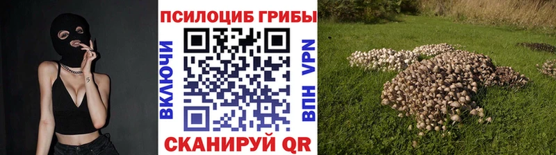 Галлюциногенные грибы GOLDEN TEACHER  Печоры 